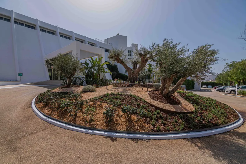 MarSenses Rosa del Mar and Spa -5