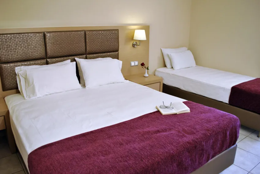 Plessas Palace 3*-7