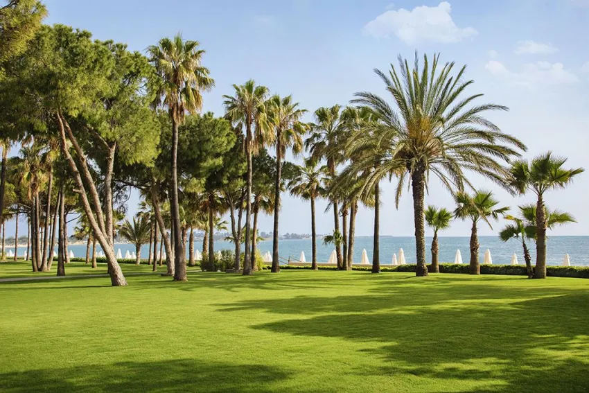 ACANTHUS & CENNET BARUT COLLECTION  5*-47