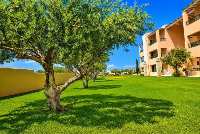 Golden Bay Aparthotel 3*-8