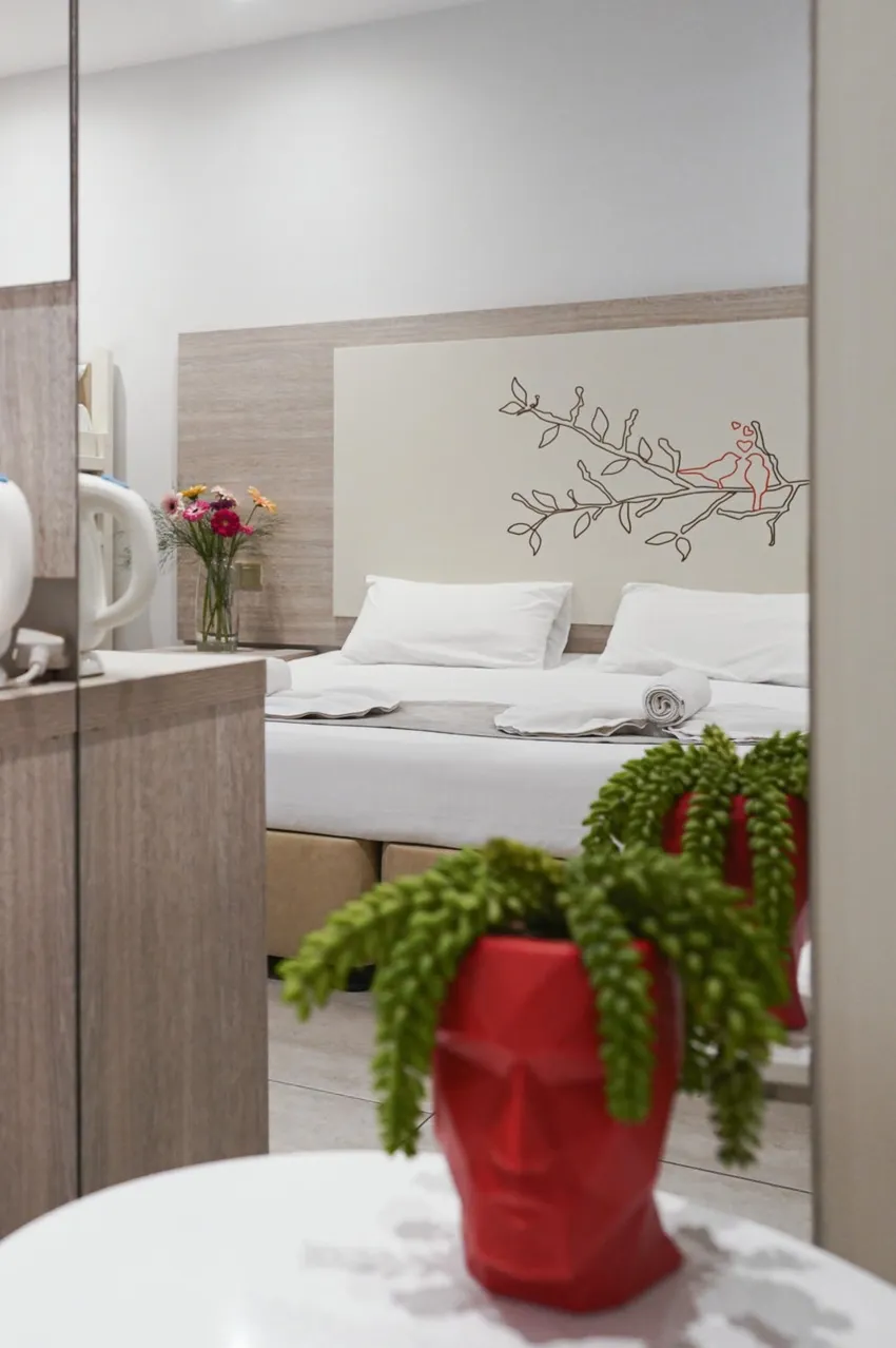 Nicholas Color 3*-25