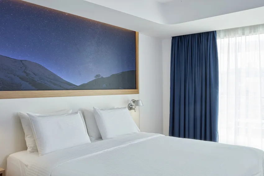 Olive Green Hotel 4*-11