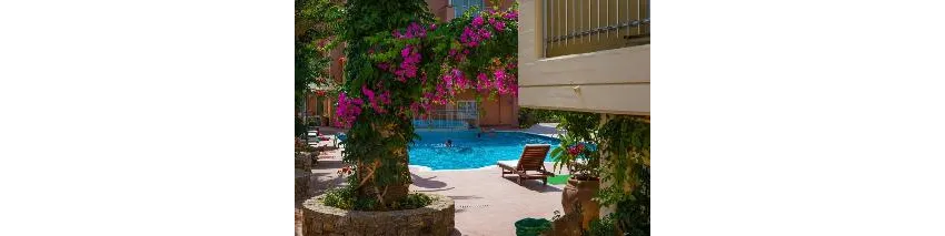High Beach Resort 4*-19