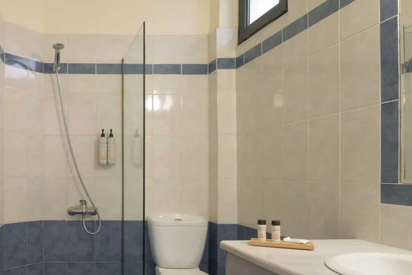 Asterias Village 4*-11