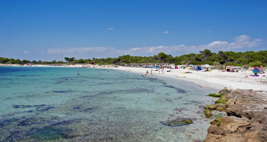 Isla de Cabrera Aparthotel 4*-84