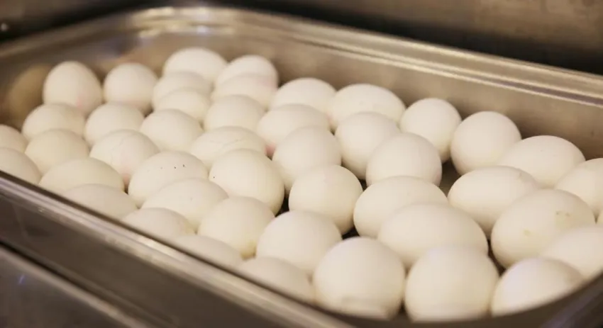 Side Kervan Hotel 3*-17