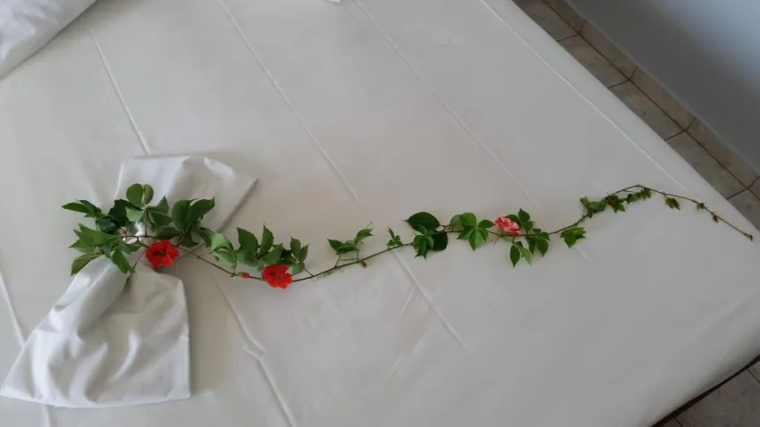 Astir Palace 4*-7