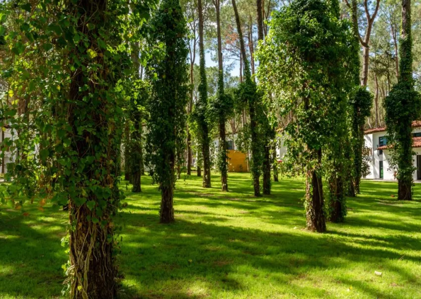 BAIA SALIMA KEMER  5*-15