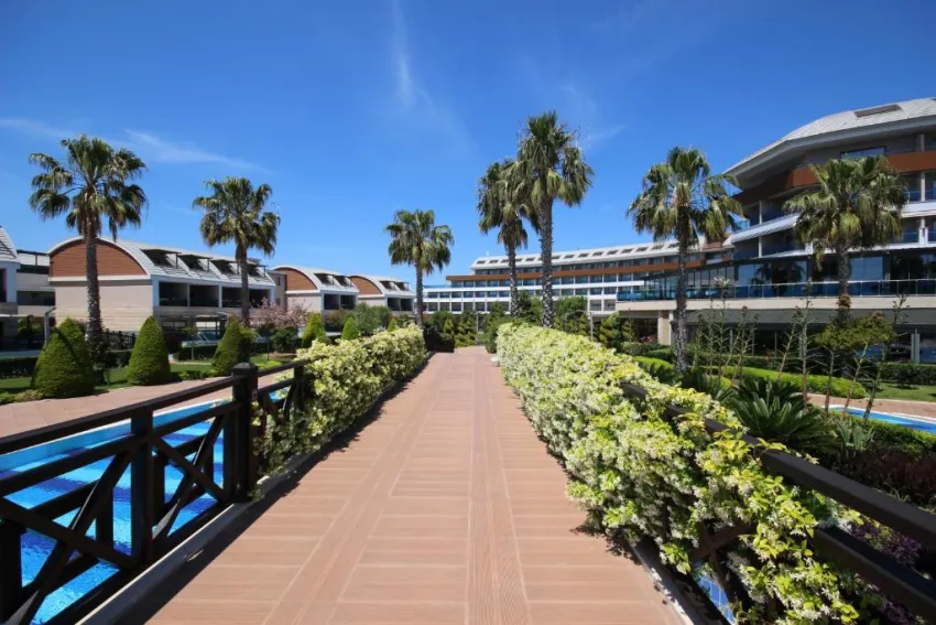 MAGIC LIFE JACARANDA  5*-19