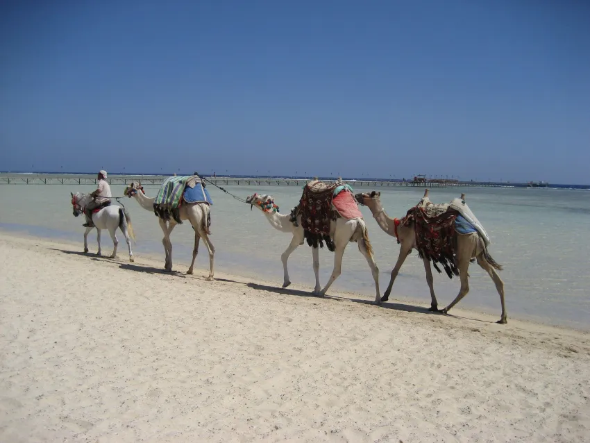 Protels Crystal Beach Resort 4*-5