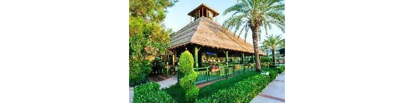 Gypsophila Club Marine 5*-18