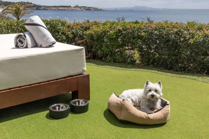 Hotel de Mar Gran Melia 5*-38