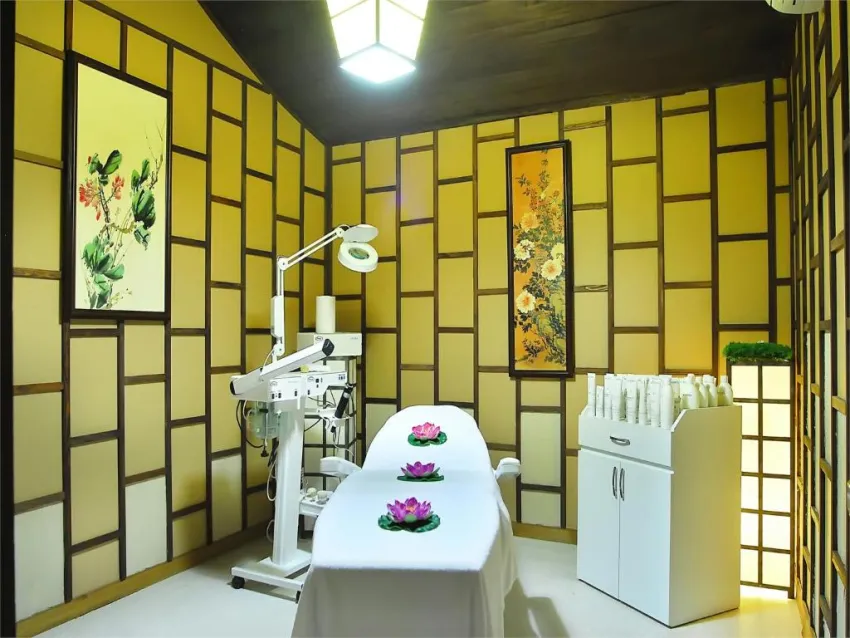 SIAM ELEGANCE HOTELS & SPA  5*-13