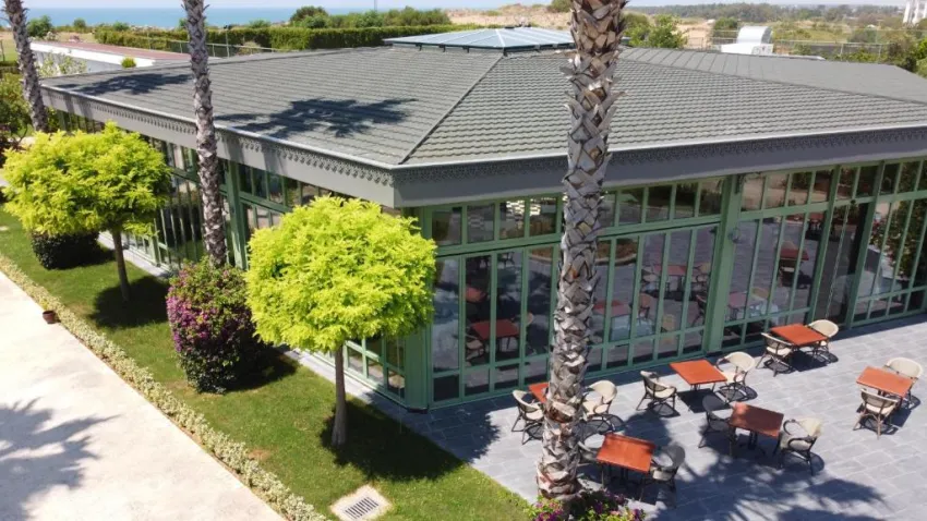 MAGIC LIFE JACARANDA  5*-23