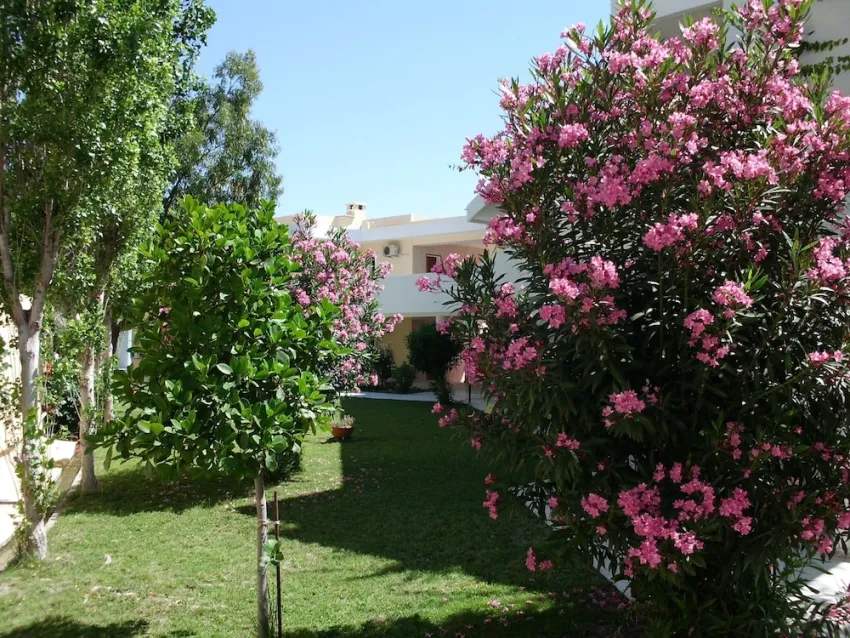 Hotel Iris 3*-18