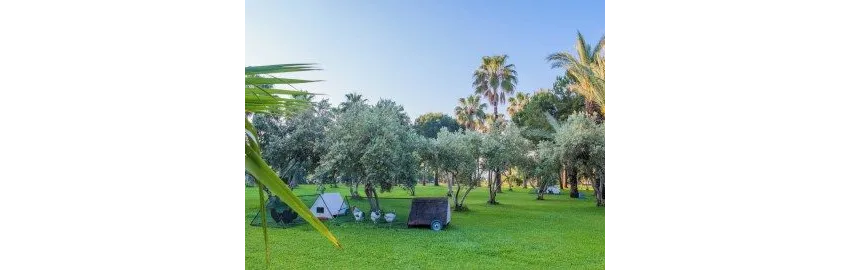 Sural Hotel 5*-25