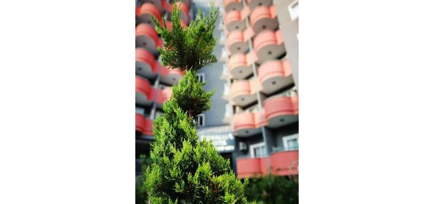 Grand Alisa Hotel (Ex.Royalisa Hotel) 3*-4