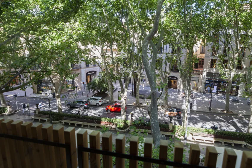 Nivia Born Boutique Hotel 5*-21