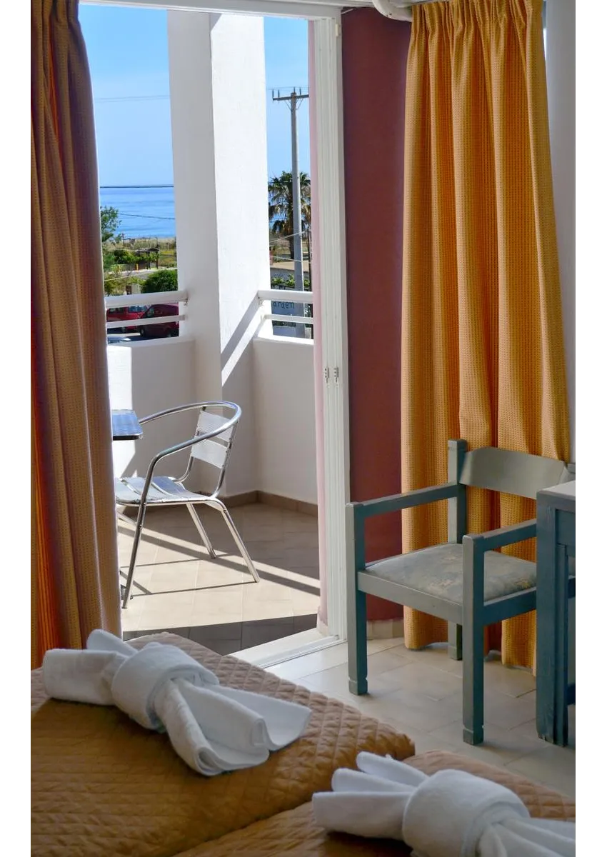 Palladion Hotel 3*-8