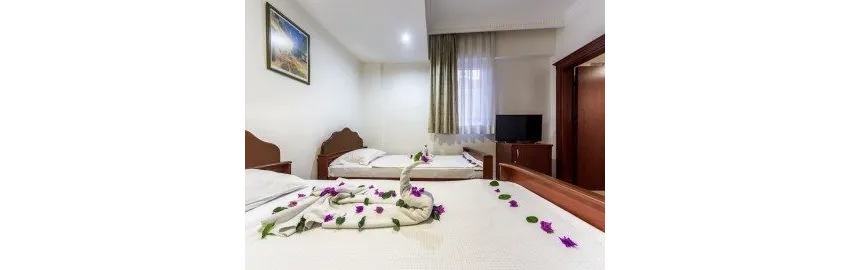 Wasa Hotel 3*-9