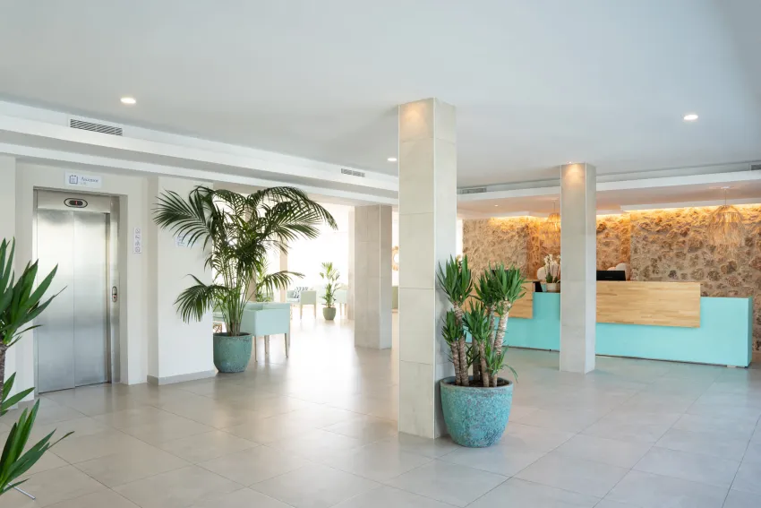 Marsenses Ferrera Blanca Adults Only 4*-11