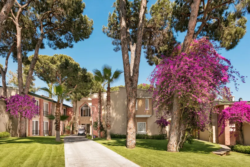 Pine Beach Belek 5*-119