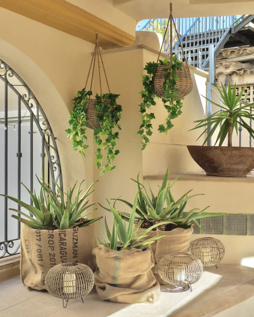 Flor los Almendros Hotel 3*-78