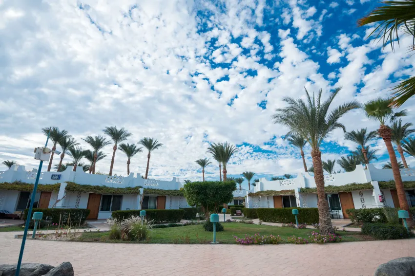 Shams Safaga Resort 4*-10