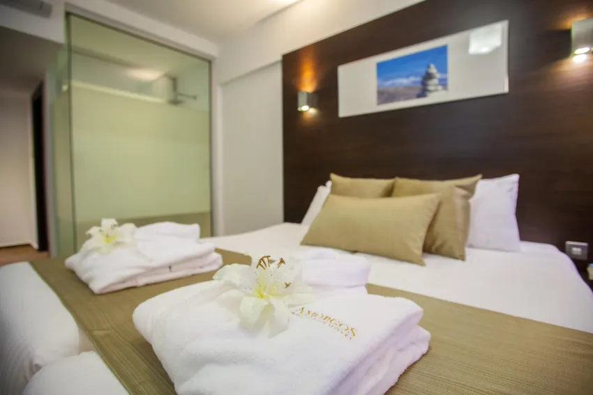 Amorgos Boutique Hotel 3*-1