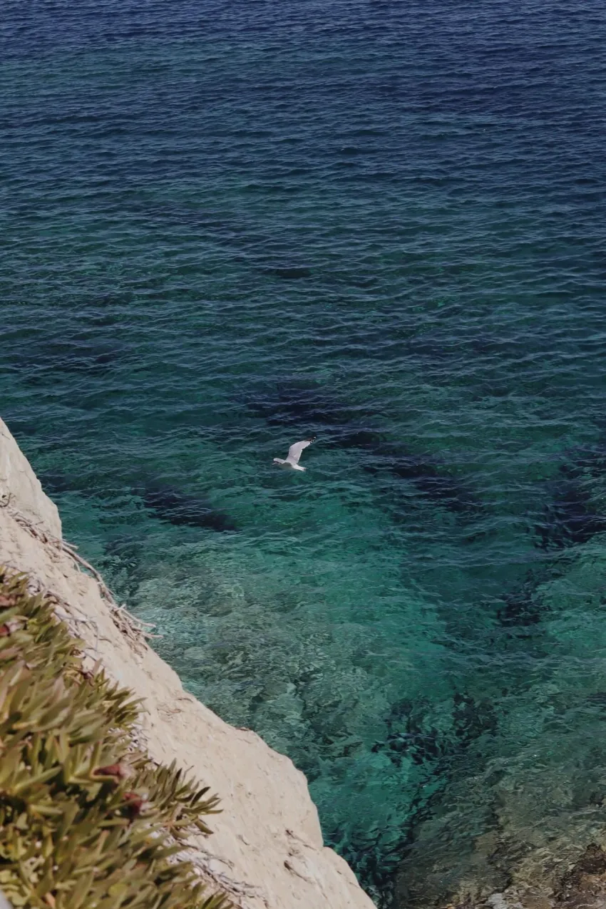 Peninsula Resort and Spa 4*-30