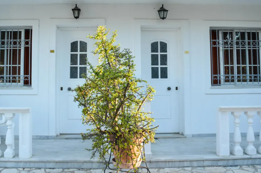 Paradise Beach Apartments 3*-4