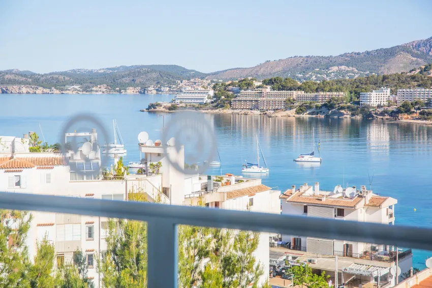 Pierre V. Mallorca Portofino -16