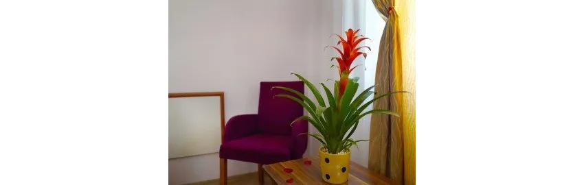 Ergun Hotel 3*-23