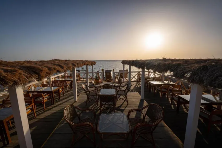 JAZ ROYAL PALMARIVA  5*-7