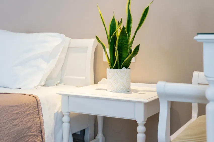 Thalassi Hotel 3*-22