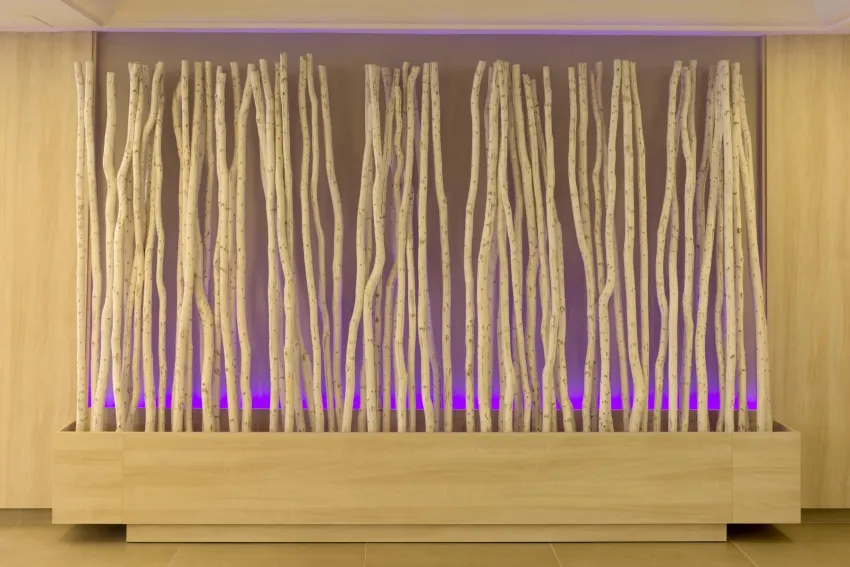 HSM Don Juan Hotel 3*-8