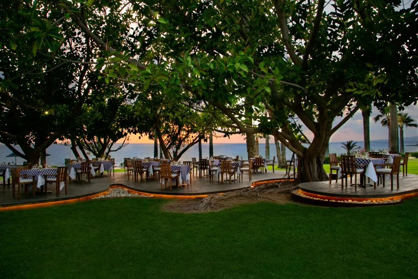 Azia Resort and Spa 5*-85