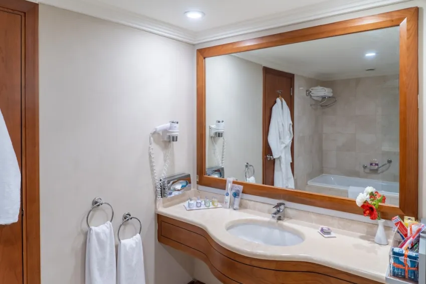 IC Hotels Airport 4*-38