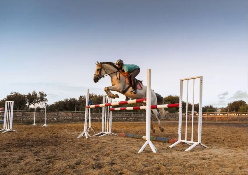 Sentido Phenicia 4*-84