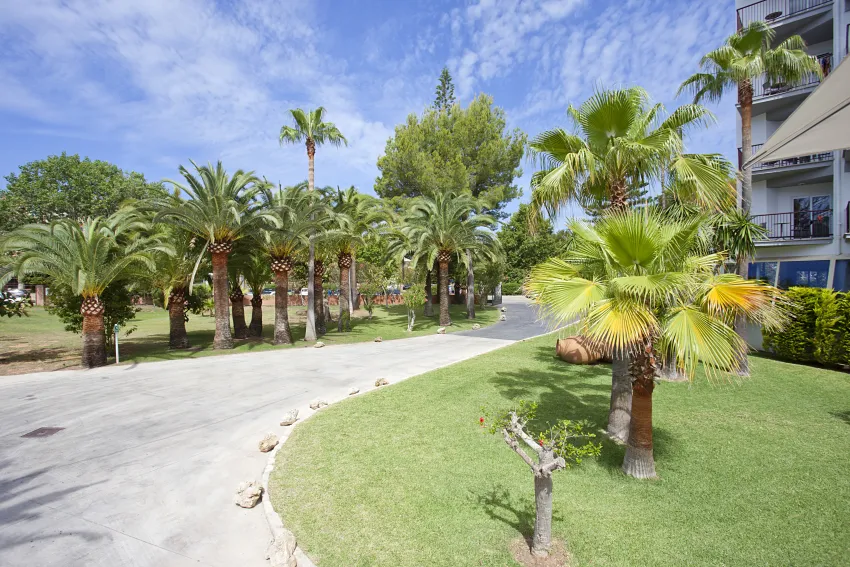 FERGUS Bermudas 4*-40