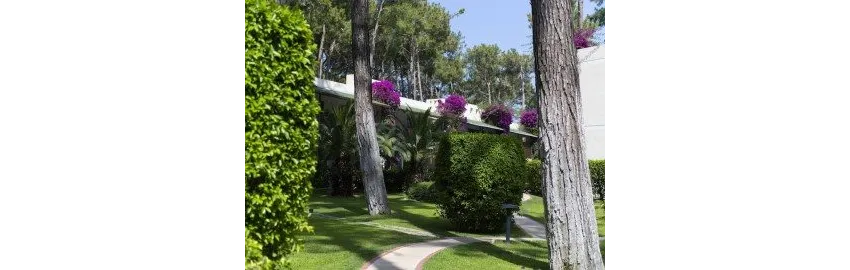 Turquoise Hotel 5*-23