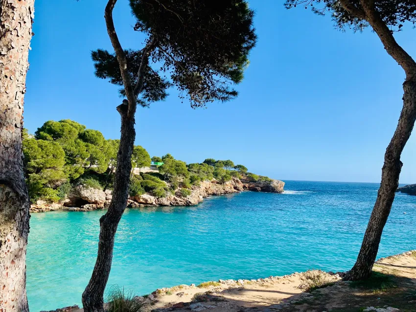 Calimera Fido Gardens (ex Cala D Or Gardens) 4*-66