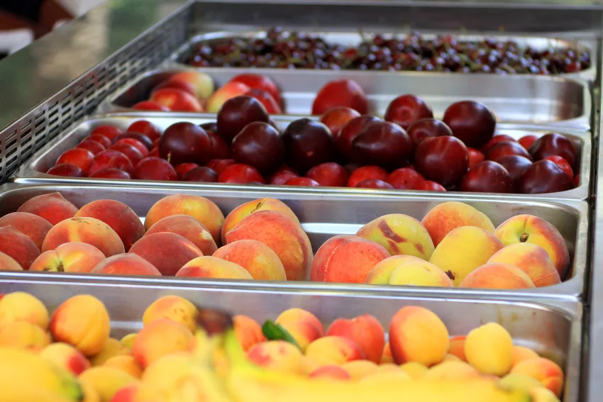 Protur Palmeras Playa 4*-82