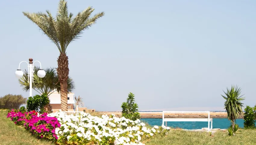 White Valley Palace 5*-91