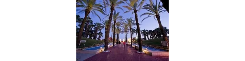 Monachus Family Resort Sorgun 5*-13