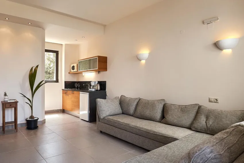 Creteco Hotel and Suites 4*-9