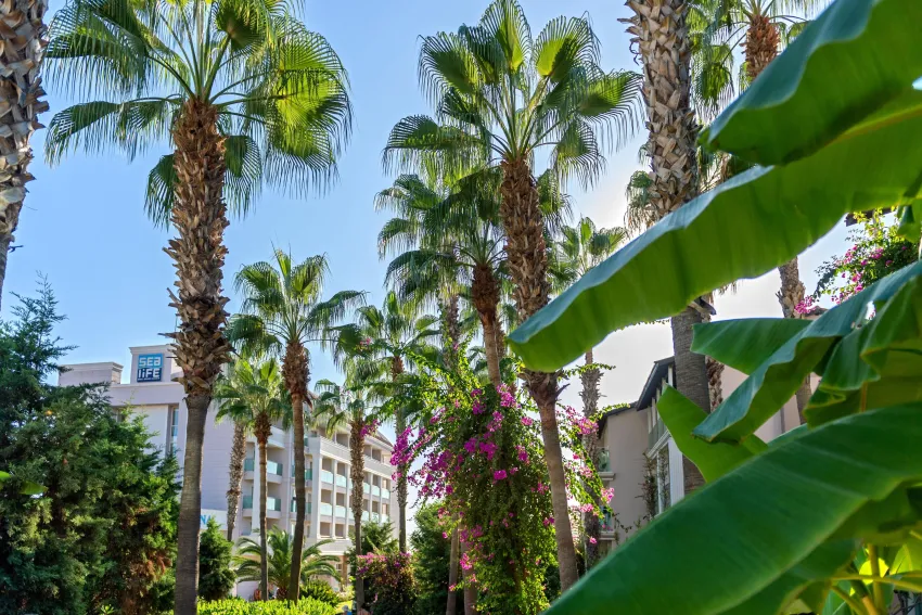 Sealife Buket Resort & Beach Hotel 5*-7