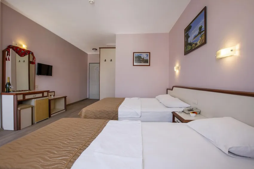 Ergun Hotel 3*-16