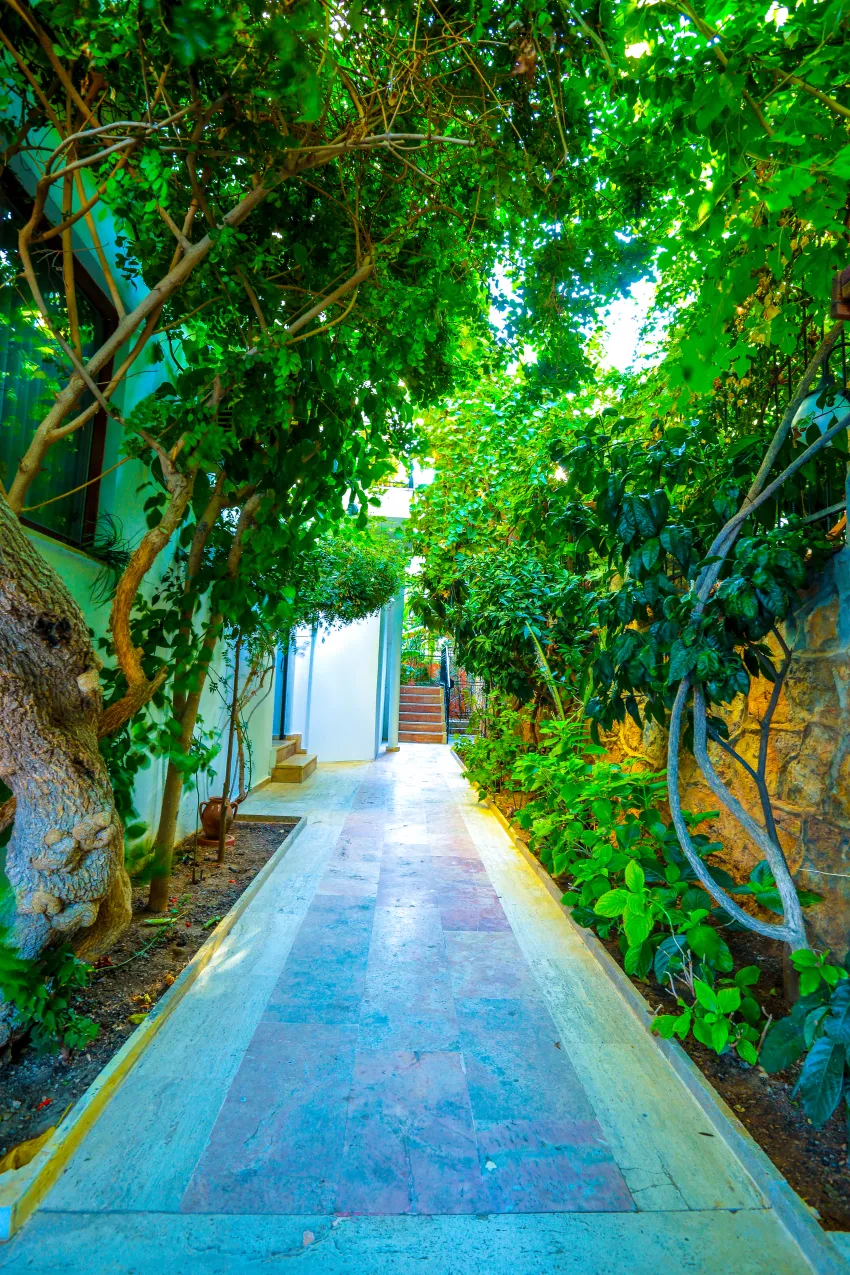 Villa Sonata 4*-11