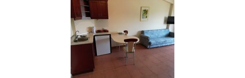 Lemas Suite Hotel 3*-6